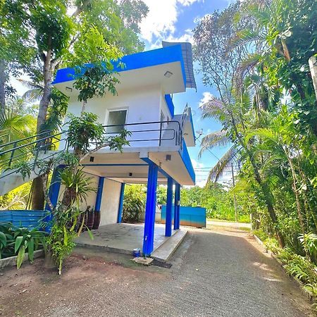 Jungle Fence Bed & Breakfast Bentota Ngoại thất bức ảnh