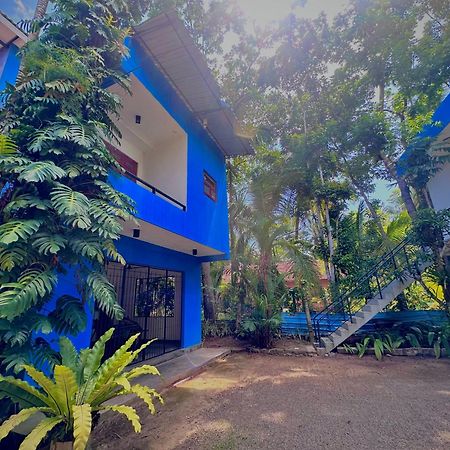 Jungle Fence Bed & Breakfast Bentota Ngoại thất bức ảnh