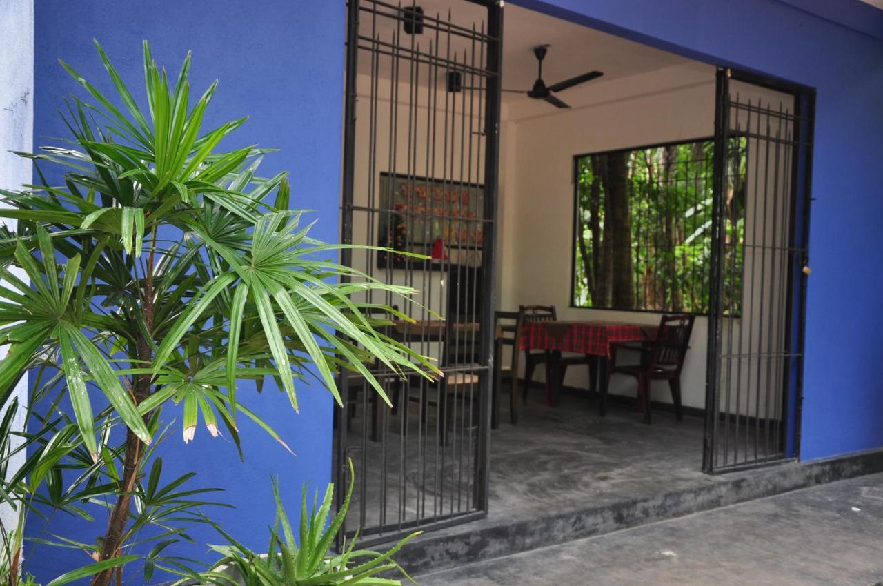 Jungle Fence Bed & Breakfast Bentota Ngoại thất bức ảnh