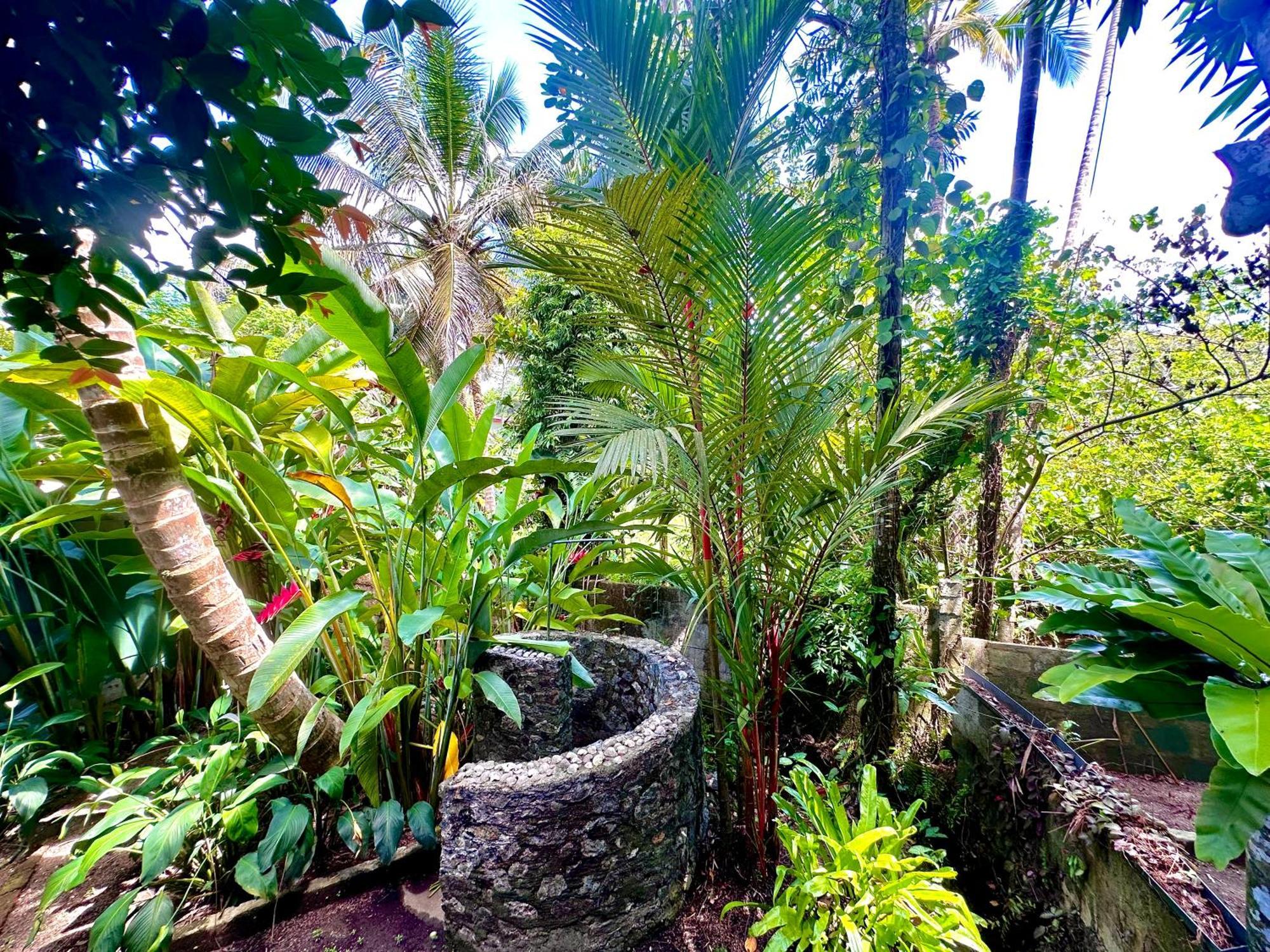 Jungle Fence Bed & Breakfast Bentota Ngoại thất bức ảnh